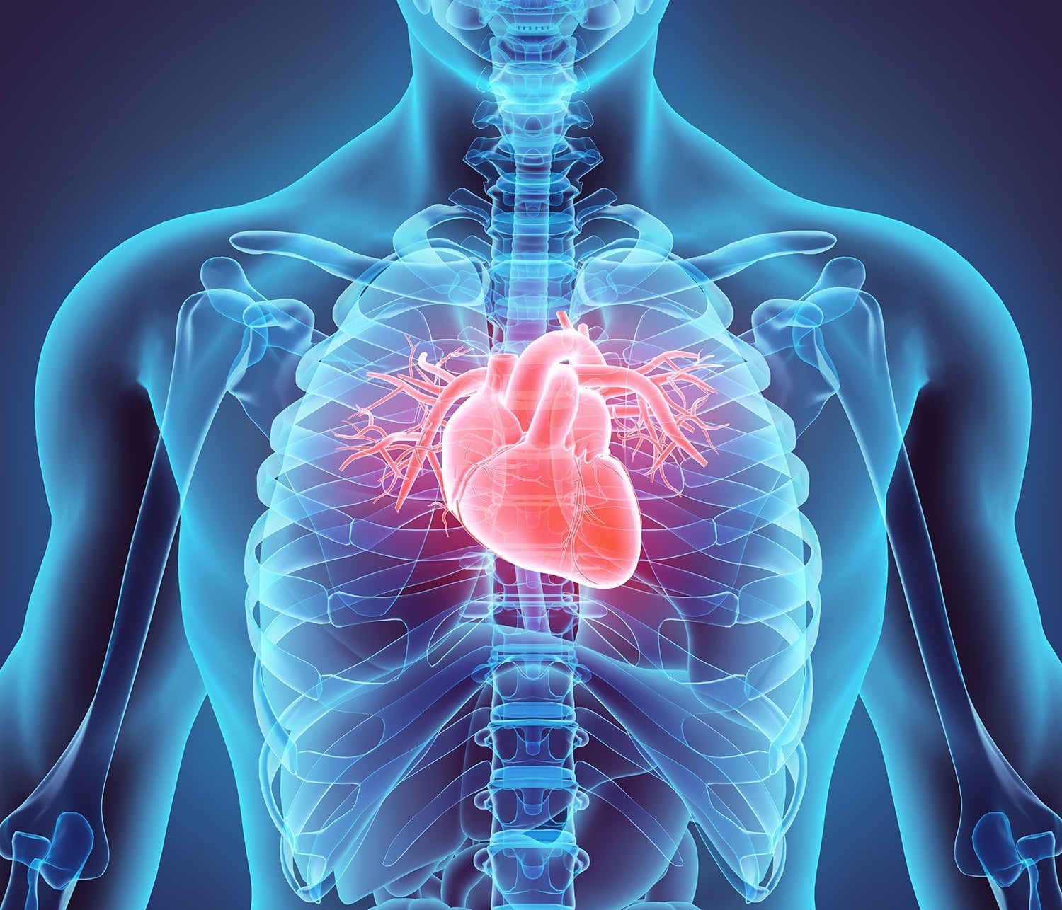 SLU-PP-332 Cardiac Tissue Regeneration | Shaanxi BLOOM Tech Co., Ltd SLU-PP-332 Cardiac Tissue Regeneration | Shaanxi BLOOM Tech Co., Ltd